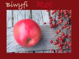 Fruits of autumn: Apfel – oder –  Mamas Apfelkuchen a là“ das merkst du dann schon“ – oder – Biwyfi: Rot