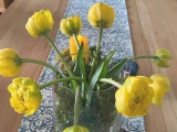Friday-Flowerday – oder – Immer noch Tulpenliebe